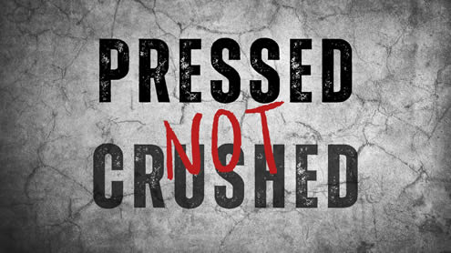 Pressed NOT crushed!