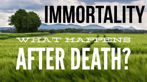 Immortality…what happens after death?